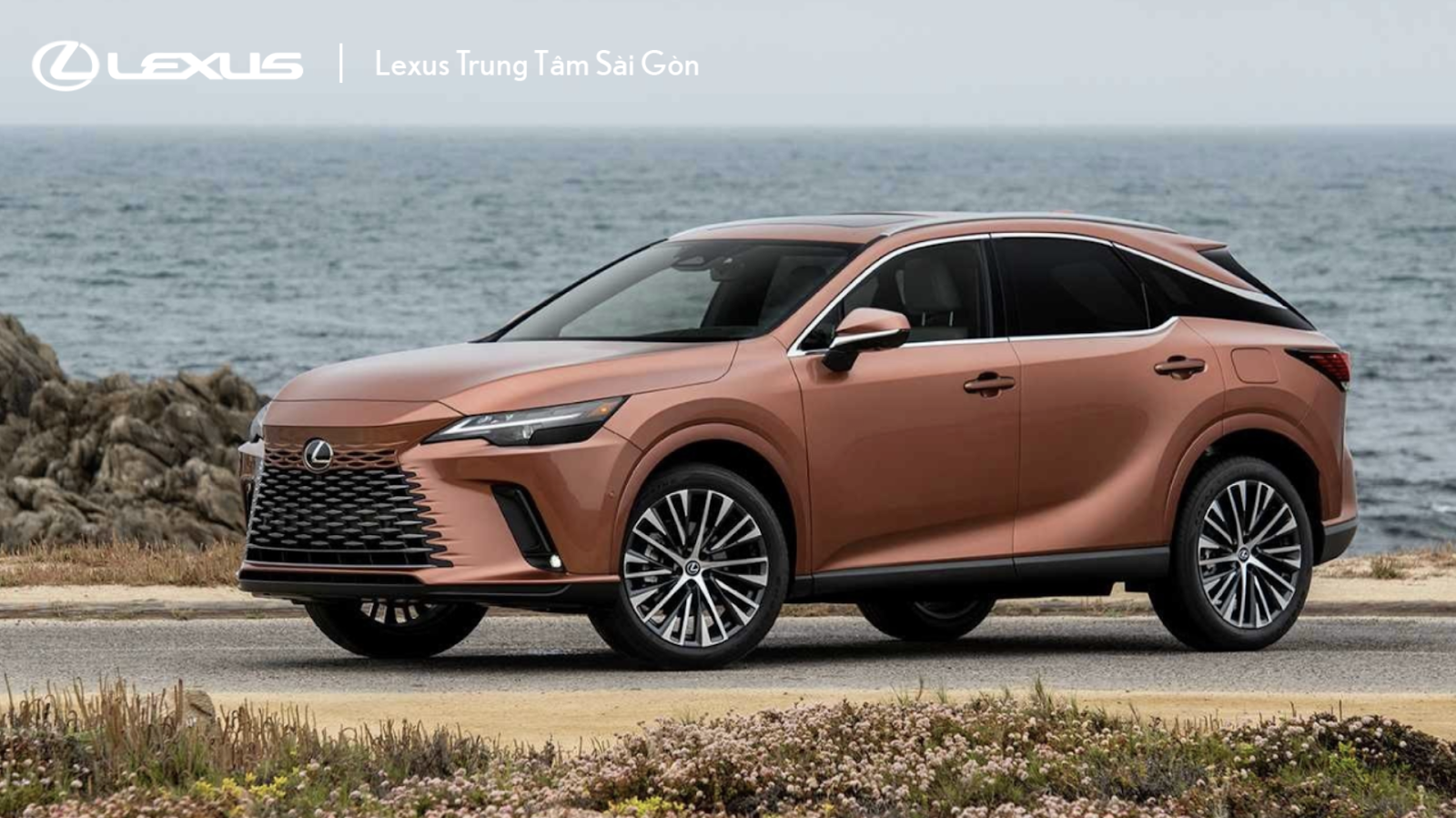 Công nghệ E-Latch trên xe Lexus RX